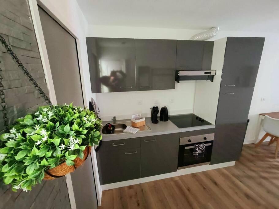 Appartement L Angelus *